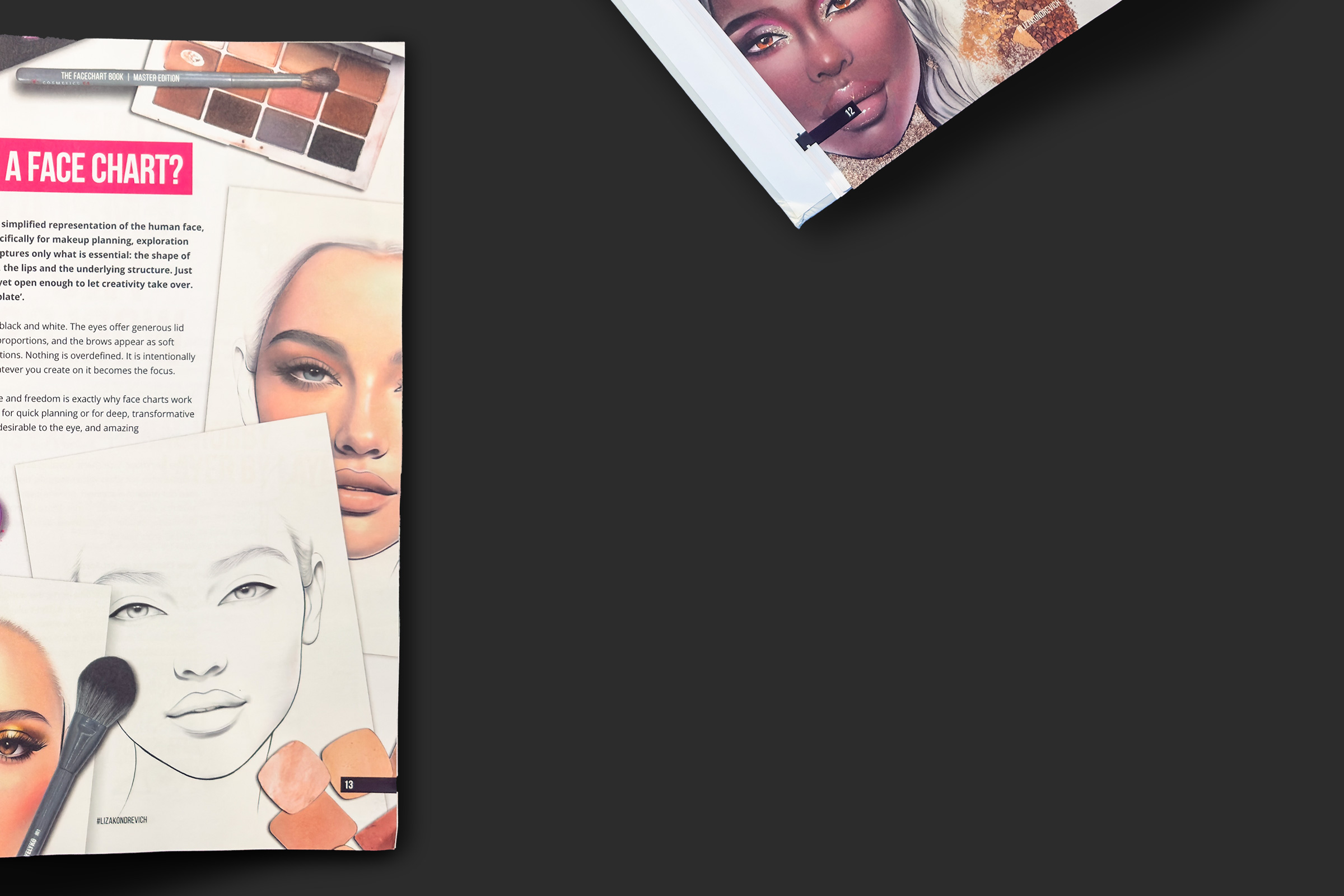 inside the face chart book 1