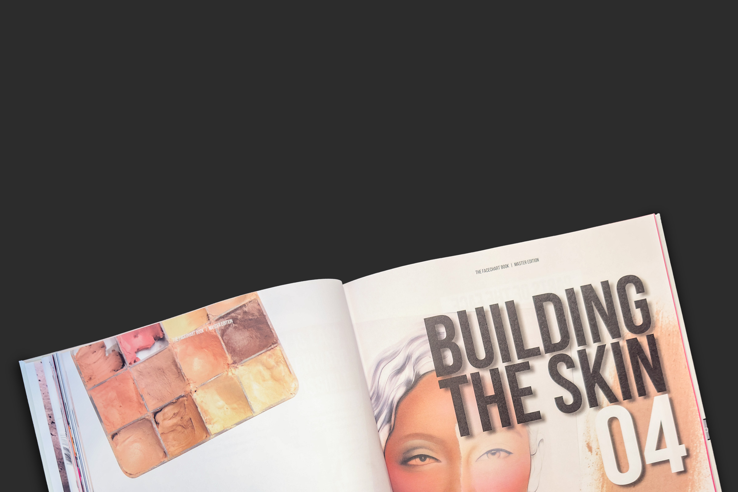 inside look in the face chaart book 4