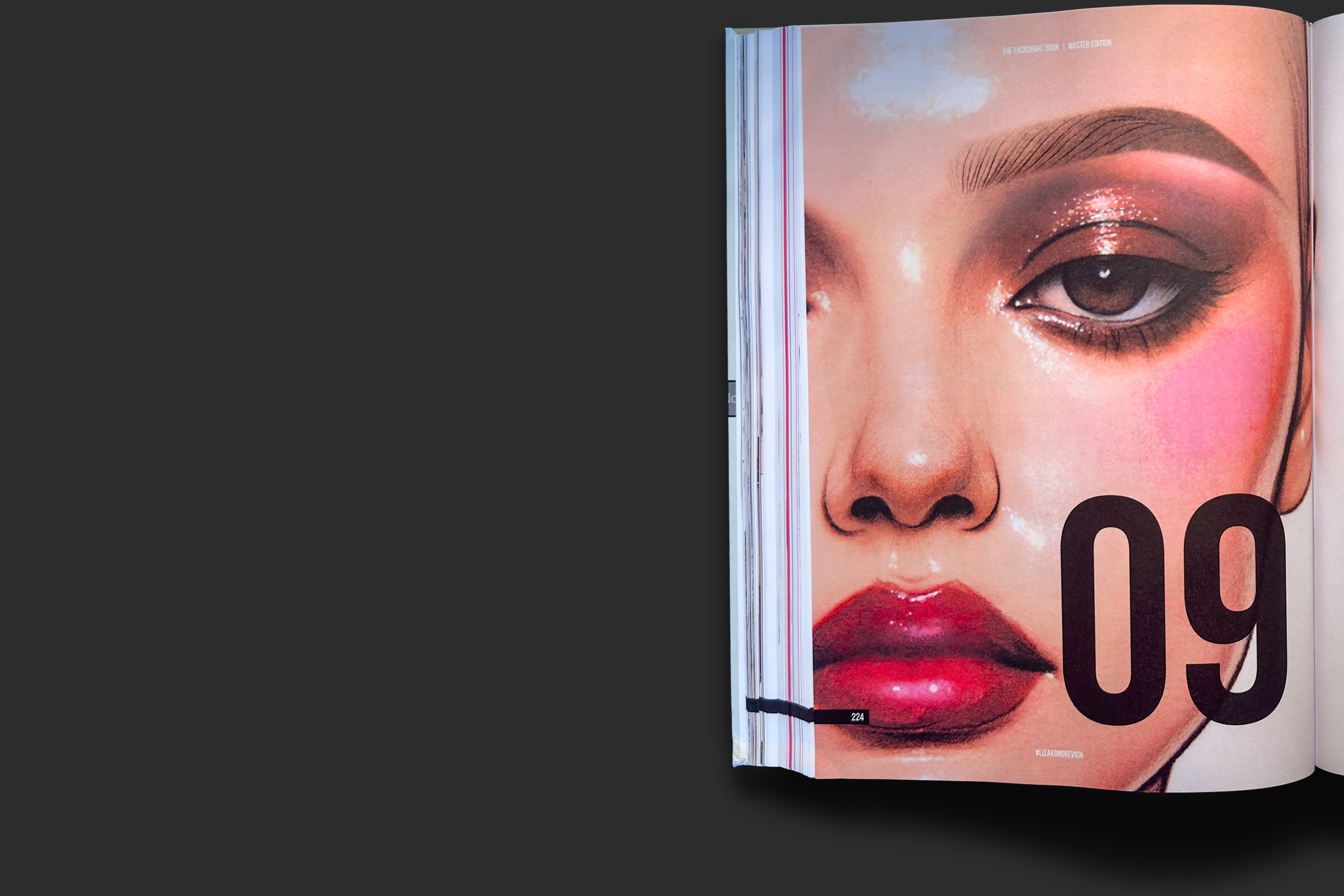 spread face chart book open 9